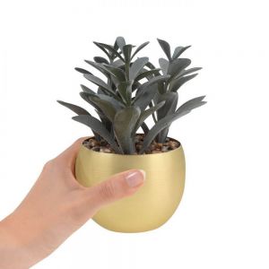 PLANTA DECORATIVA DAKAR personalizada